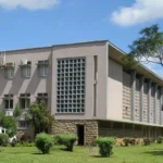 HIGH COURT’S CONSTITUTIONAL COURT IN BLANTYRE DISMISSES CASE SEEKING TO LEGALIZE SAME-SEX RELATIONSHIPS