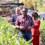 PRESIDENT CHAKWERA TOURS AGRI-VEST MACADAMIA ESTATE IN MANGOCHI, PROMOTES VISION OF MEGA FARMS