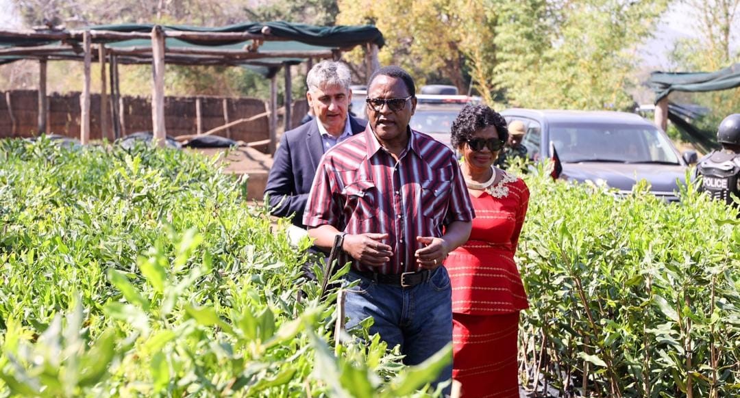 PRESIDENT CHAKWERA TOURS AGRI-VEST MACADAMIA ESTATE IN MANGOCHI, PROMOTES VISION OF MEGA FARMS