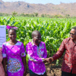PRESIDENT CHAKWERA TOURS MLOOKA FARM, HIGHLIGHTS EFFORTS TO ALLEVIATE HUNGER AND BOOST AGRICULTURE