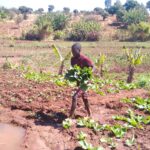 YOUNG ENTREPRENEUR, BIZIWIKI’S DETERMINATION TO FUND HIS OWN EDUCATION