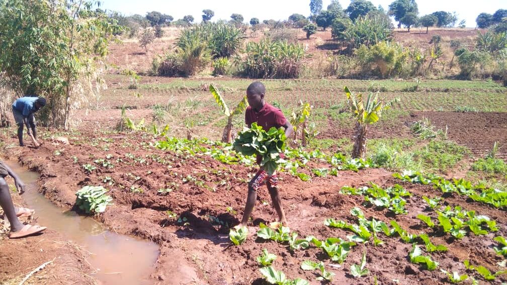 YOUNG ENTREPRENEUR, BIZIWIKI’S DETERMINATION TO FUND HIS OWN EDUCATION