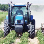 MEGA FARMS TO BOOST MALAWI’S ECONOMY AND TACKLE FOOD INSECURITY