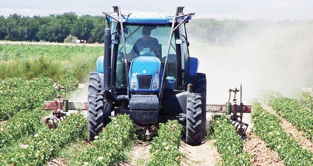 MEGA FARMS TO BOOST MALAWI’S ECONOMY AND TACKLE FOOD INSECURITY