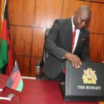 Simplex Chithyola Banda, Minister of Finance and Economic Affairs