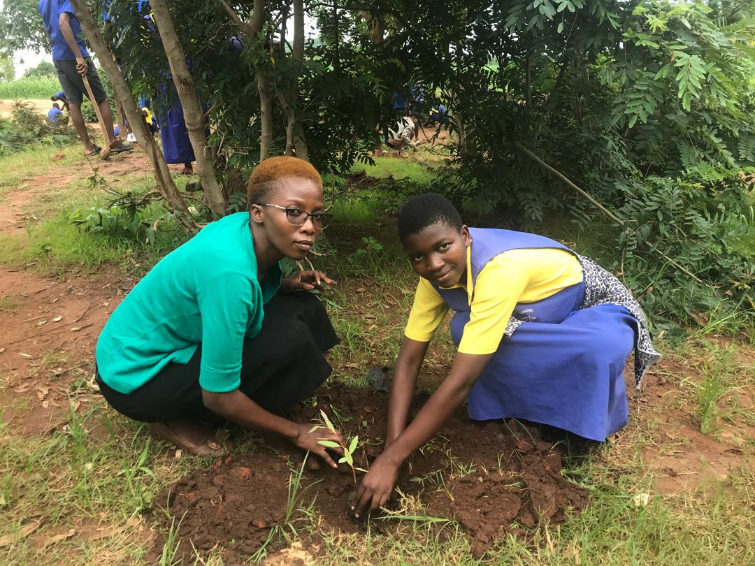AFRICAN HARMONY CORRECTIVE PLANTS TREES AT SAKATA PRIMARY