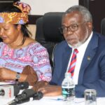 ORGANISING COMMITTEE OUTLINES INAUGURATION PLANS FOR PRESIDENT-ELECT MUTHARIKA