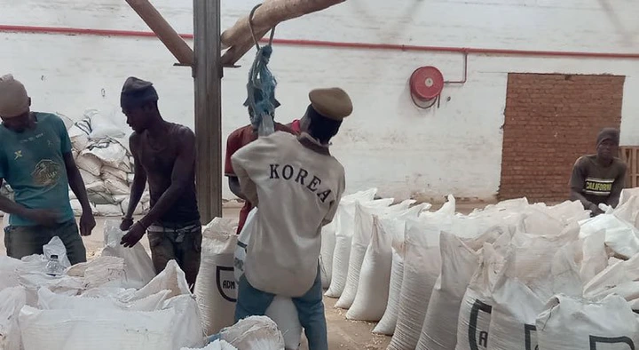 MAIZE PRICES STABILISE AT K1 178 PER KG AS IMPORTS SUSTAIN SUPPLY