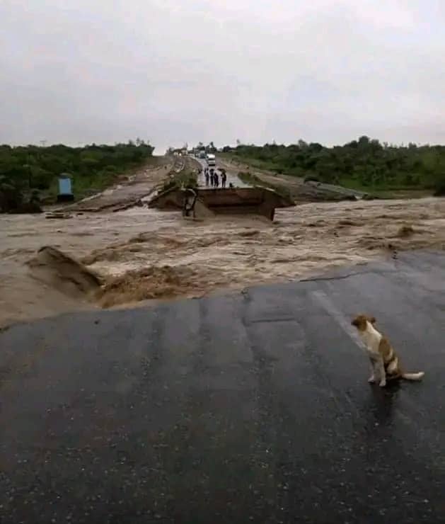 GOVERNMENT REPORTS PROGRESS ON ROAD, BRIDGE REPAIRS