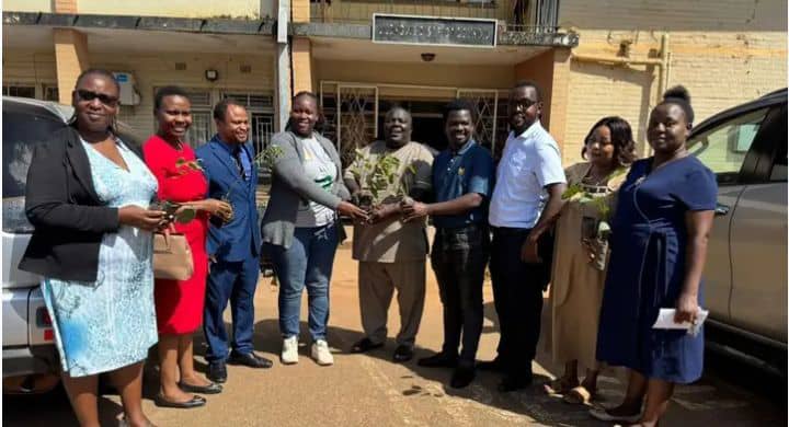 LILONGWE COUNCIL RECIEVED TREE SEEDLINGS FROM ESCOM