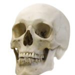 MAN TAKES HIS LIFE AFTER BEING CAUGHT CHEATING