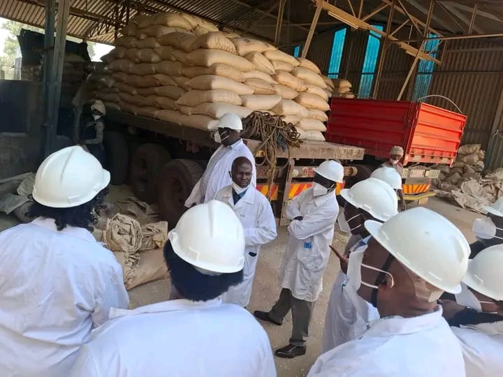 NFRA RESUMES MAIZE PURCHASE AT NEW PRICE