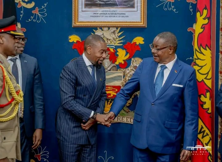 PUBLIC-PRIVATE PARTNERSHIP DRIVES MALAWI’S ECONOMIC TRANSFORMATION UNDER PRESIDENT MUTHARIKA